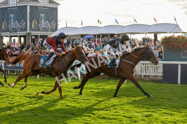 230923-Race 7-Two Brothers-5497 - Race 7 5.30pm Neil Atkinson's 60th Birthday Celebration Handicap