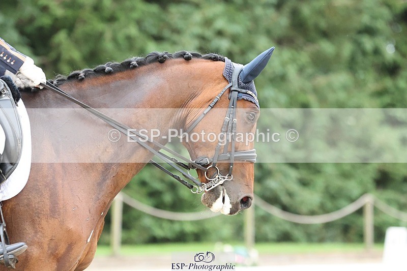 240810-144837-03736 - 175-Lucie.Stokoe-Led.Zeppelin