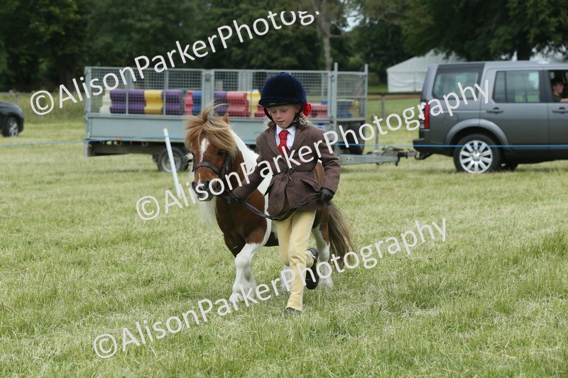 20260614-4296 - Class 18 - Best Junior Handler