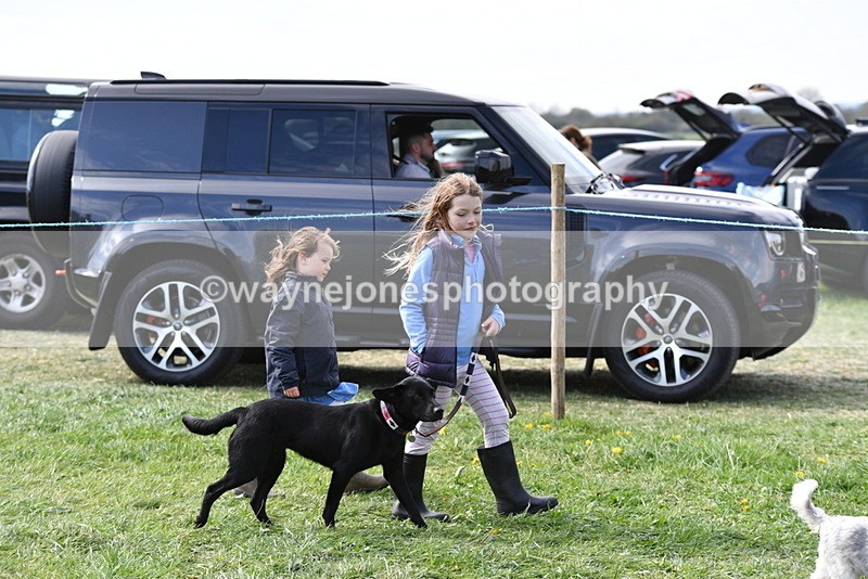 WJ5_0717 - Best in Show Championship