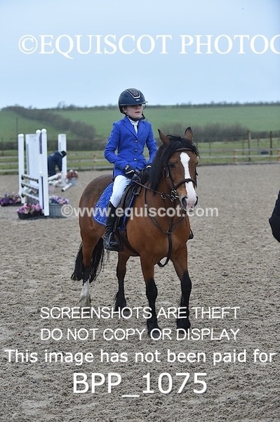 BPP_1075 - CLASS 1 Club/ Unaffiliated 60cms Open