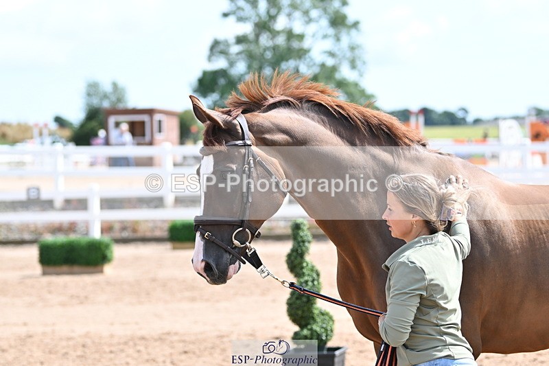 240717A-152719-02841 - Trot Up 3pm to 4pm