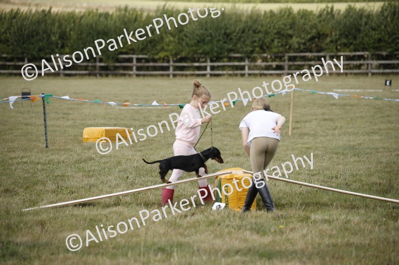 20250831-3900 - Dog Show