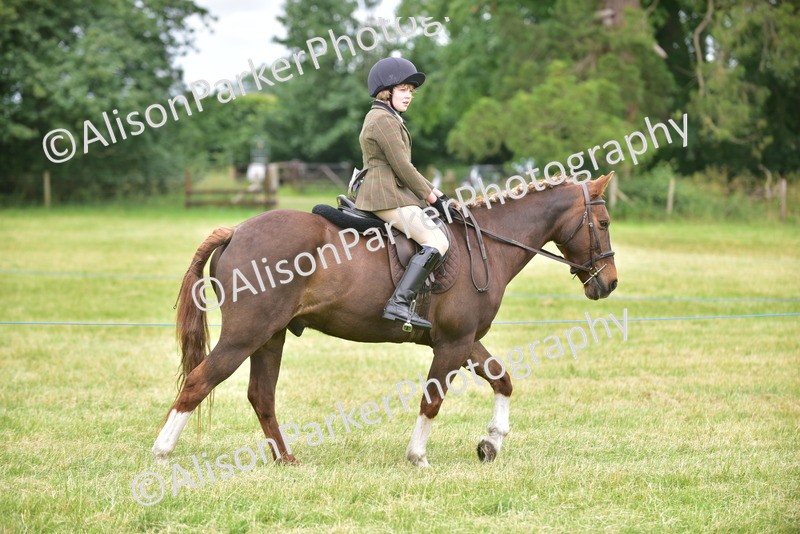 20260614-2667 - Class 13 - Pony Club Pony