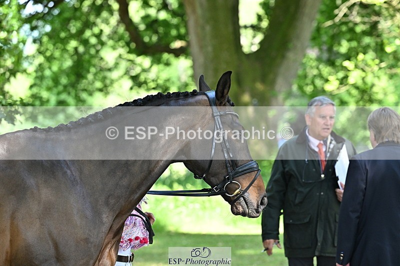 250521A-154727-00764 - B-366-Ginny.Howe-CHF.CAPTAIN.JACOB