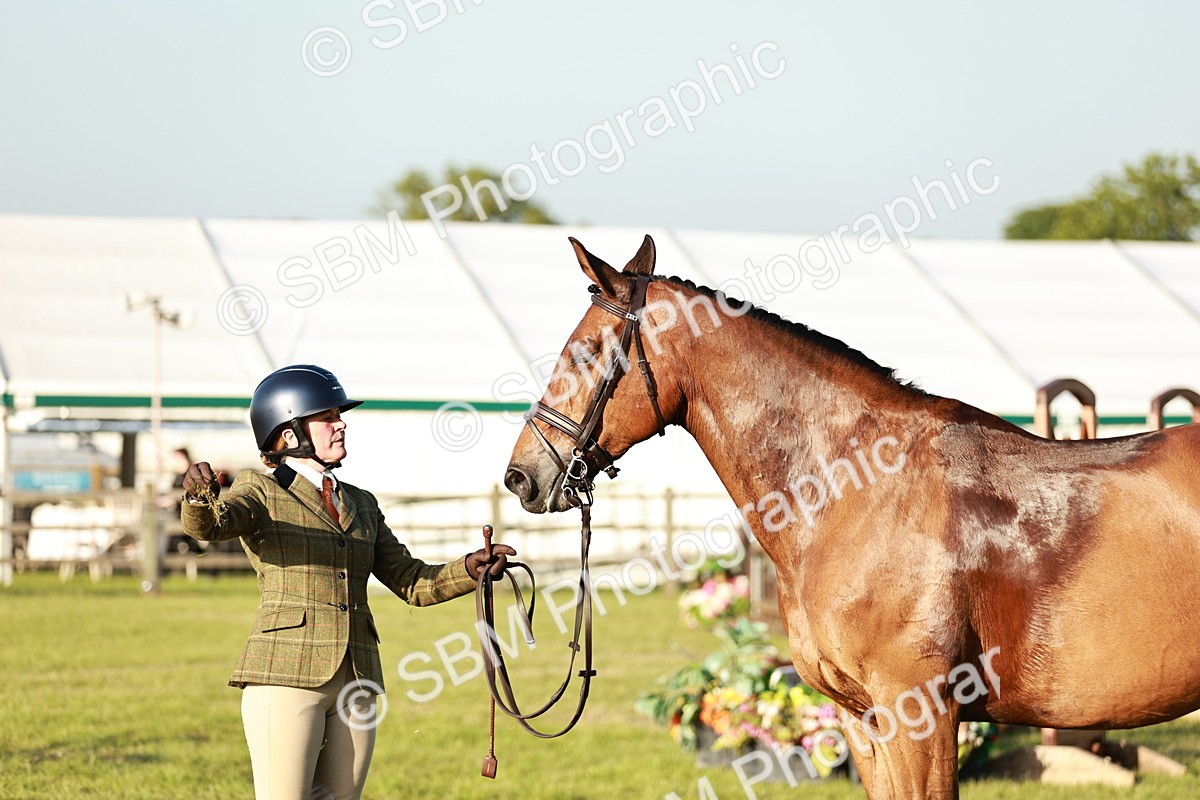 SBM_20541 - Class 117-119 - Sport Horse Working Hunter