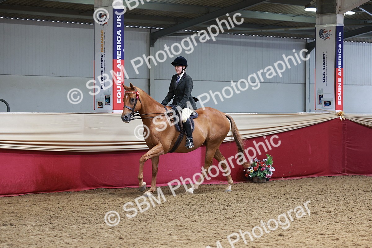 SBM_14909 - Class 108 - Ridden Retired Racehorse
