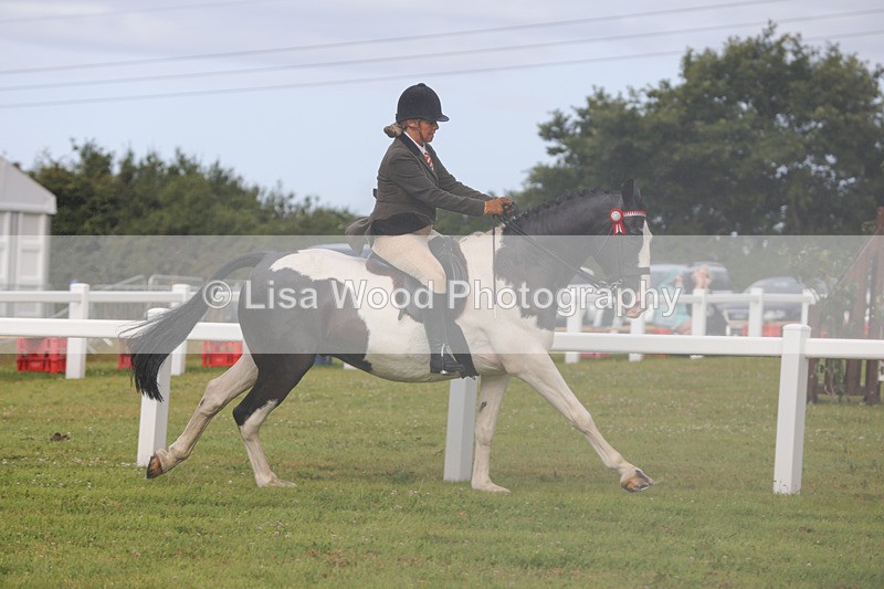 1X9A3037 - Class 26: Ridden Plaited Coloured Pony