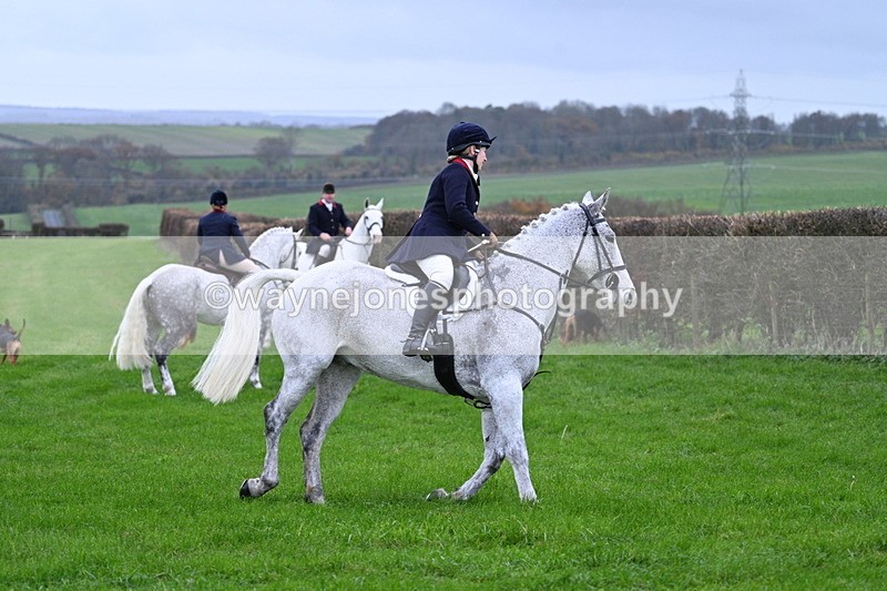WJ7_8771 - Meet Staff & Hounds