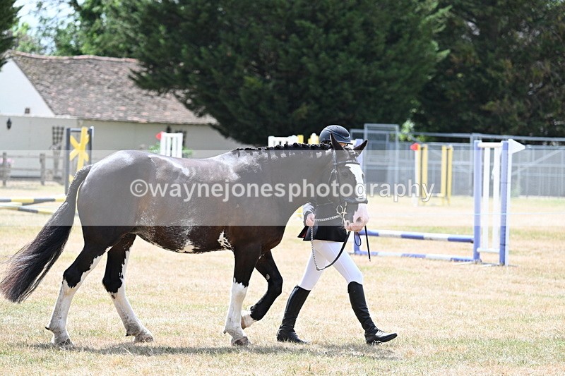 WJ7_1932 - Class 4a Prettiest Mare 14.2hh and over hand