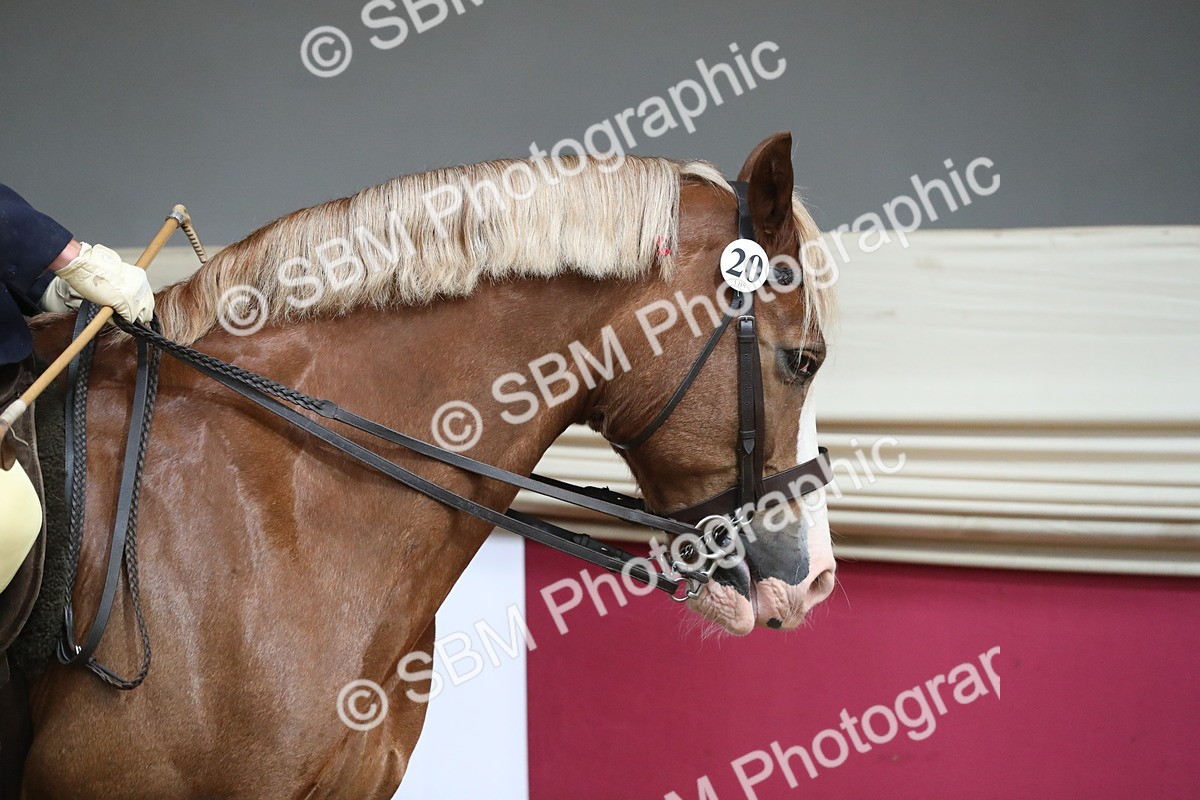 SBM_16257 - Class 502 M&M Ridden Supreme Final