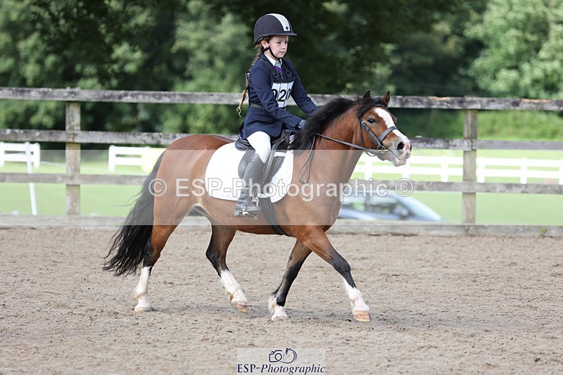 240822X-160315-13065 - 40cm A R1 15.53 to 16.48