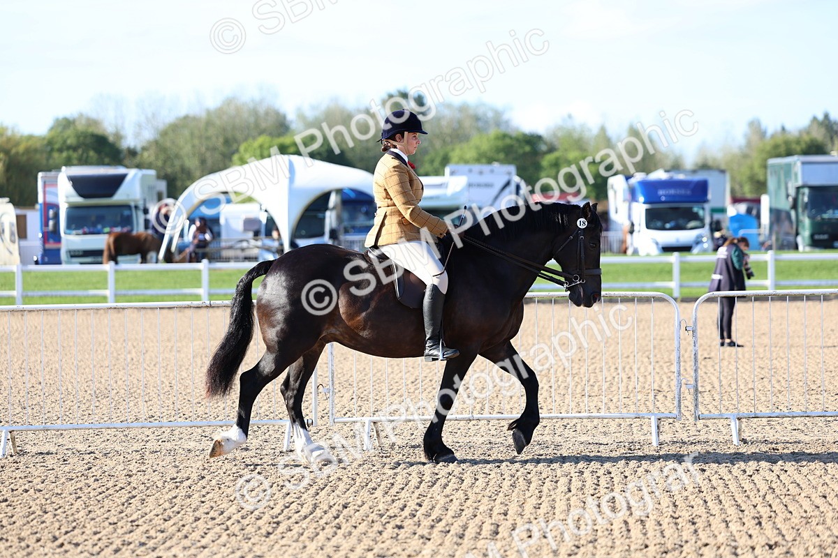 SBM_08716 - Class 302 - Ridden M&M - Large Breeds