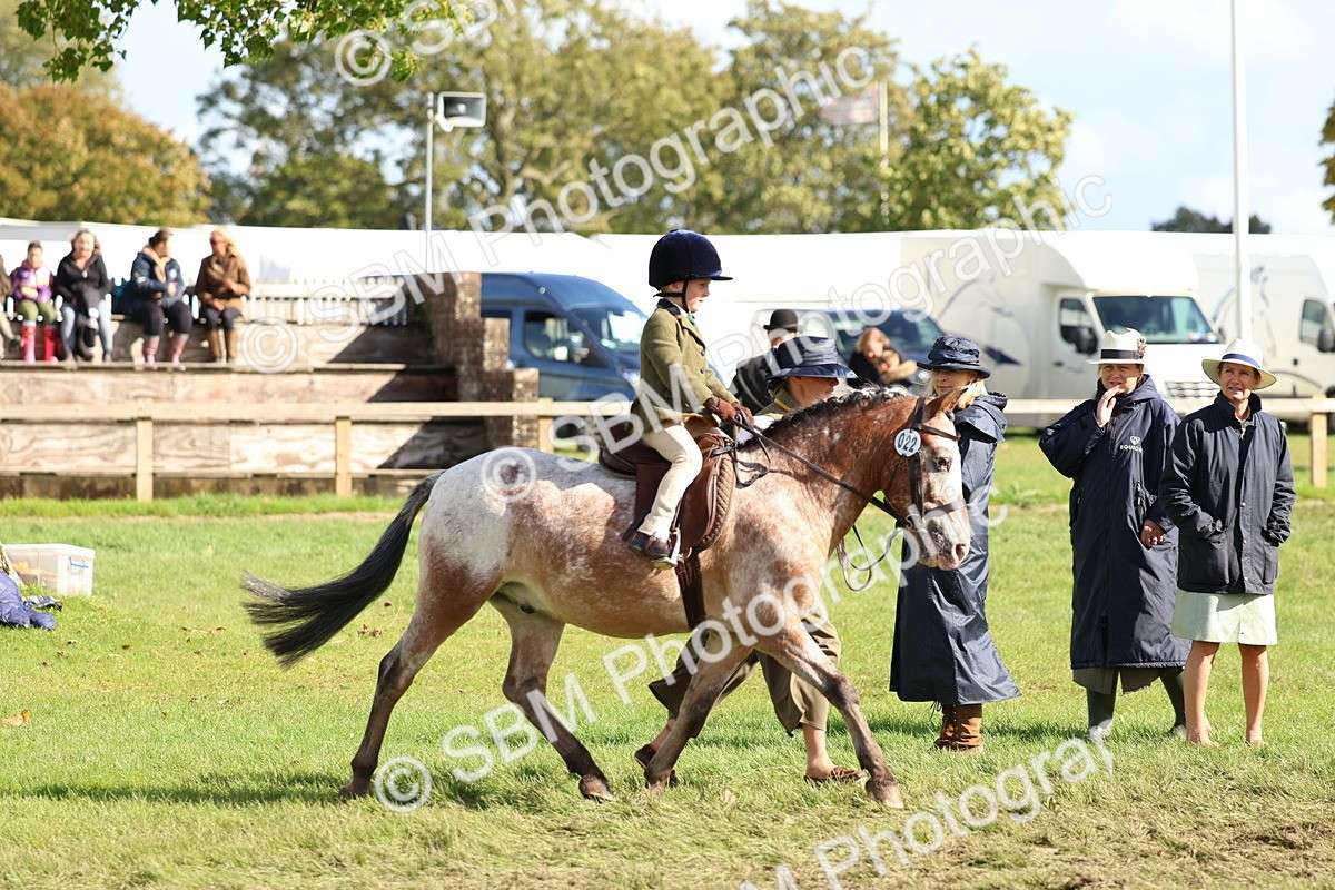 SBM_47741 - S28 - Veteran Ridden