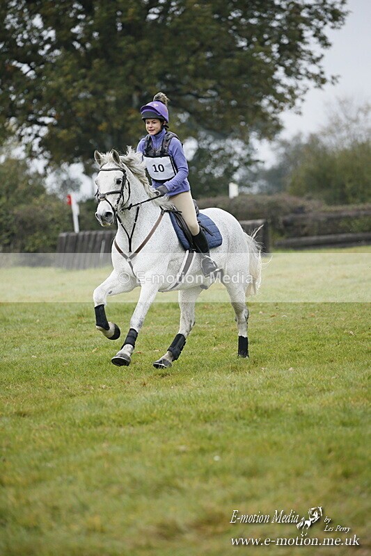 WWHT 181020 WWHT 181020 430 - WWEC Open Novice (0.80m) 18/10/20