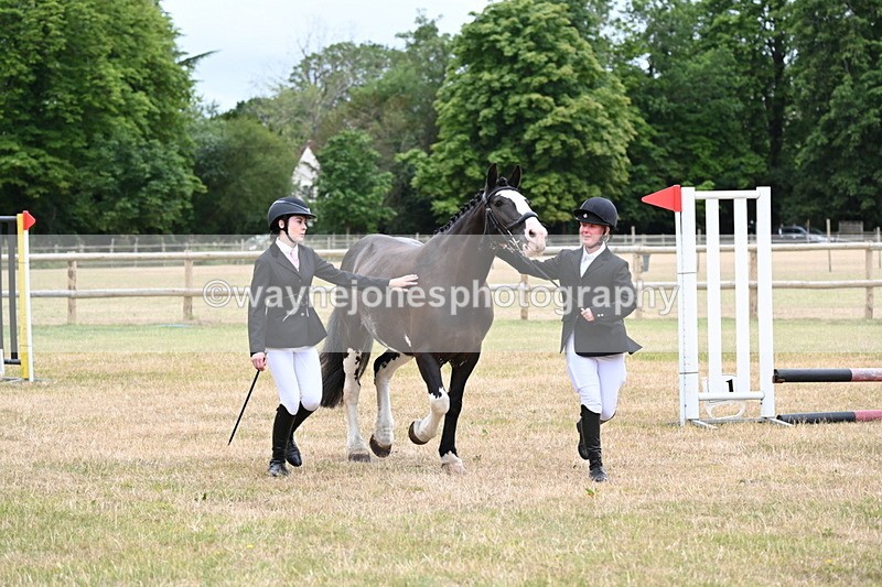 WJ6_4410 - Class 10 Coloured In-hand