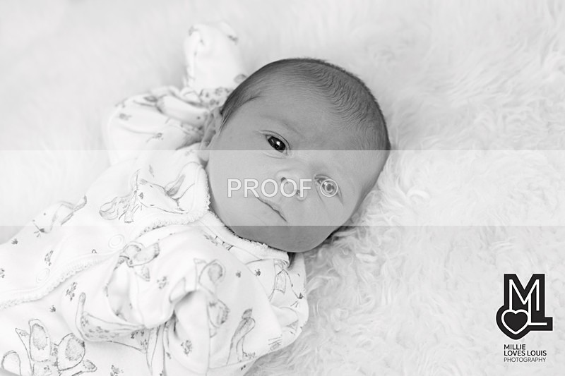 DSC_5949portfolio - Newborn Photoshoots