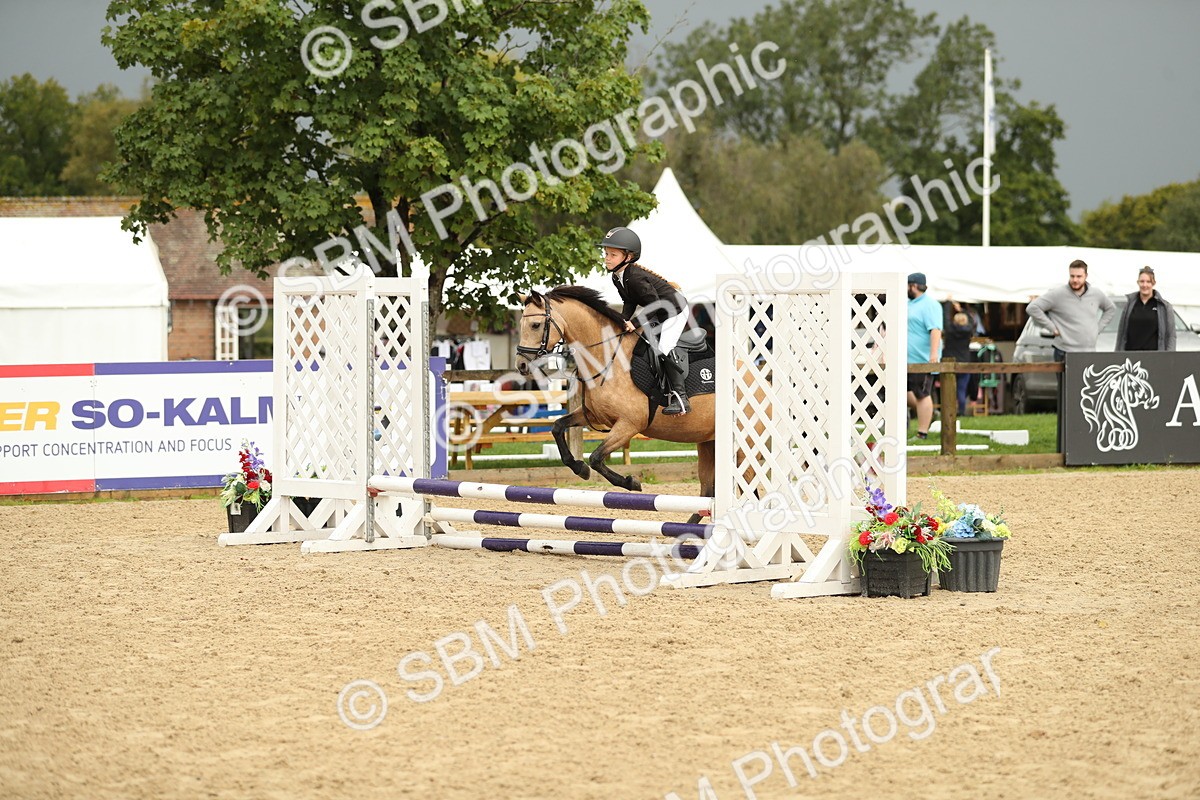 SBM_34262 - J60 Clear Round 50cm