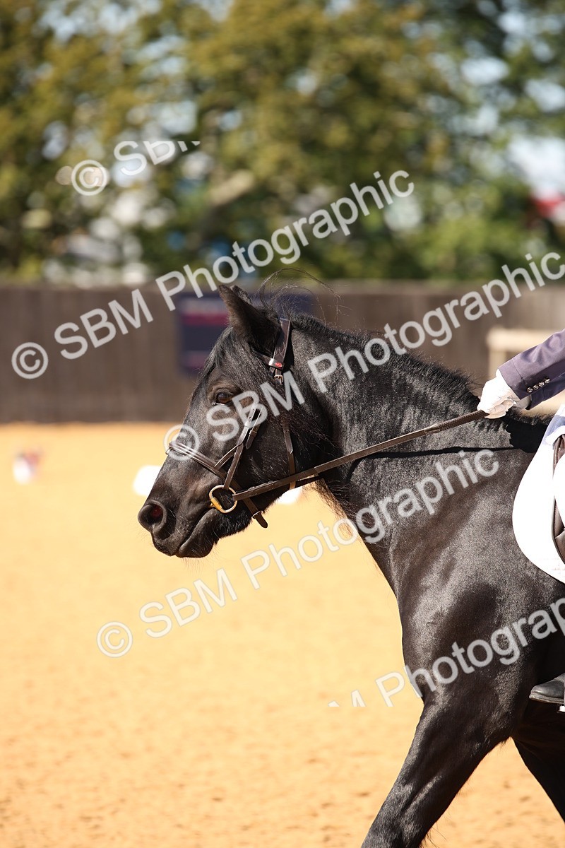 SBM_24169 - D5 - Small Tour Championship - Intro C