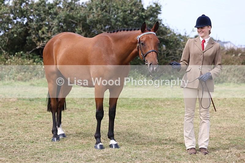 3E7A5567 - Class 20: Sports Horse In Hand