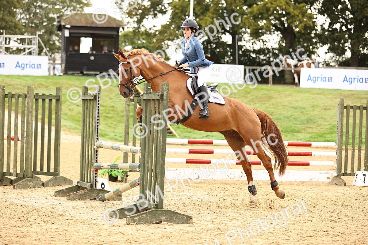 SBM_58531 - J41 - Grand Tour Horse & Pony 95cm