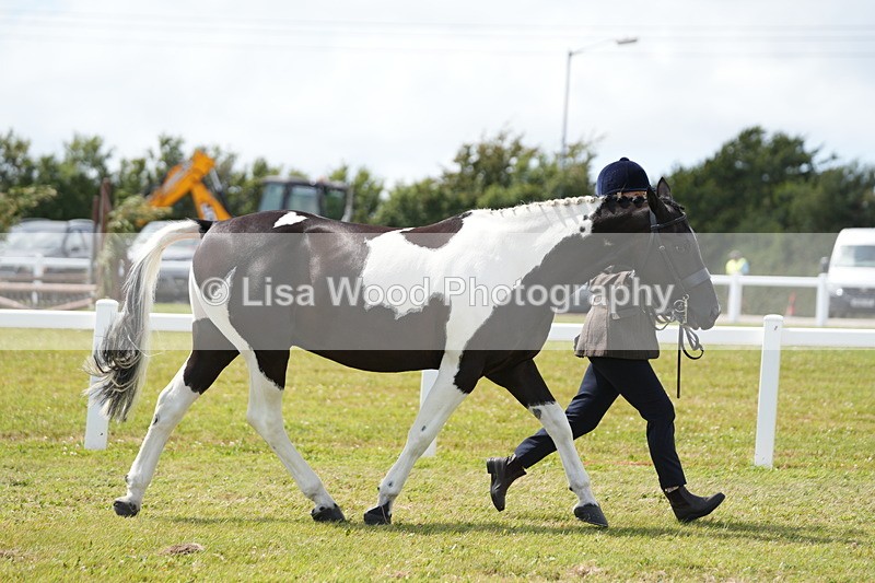 DSC07020 - Class 61: Coloured Horse 4yrs & Over