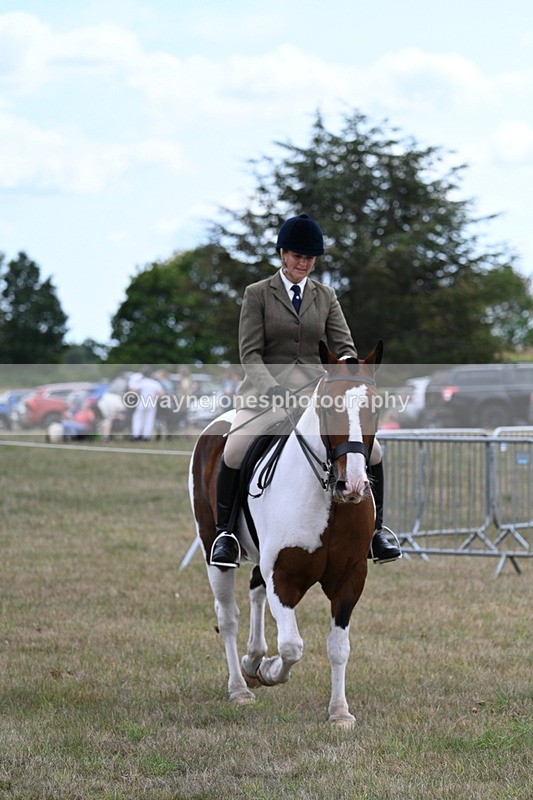 WJ7_5184 - Class 12 Ridden Cob