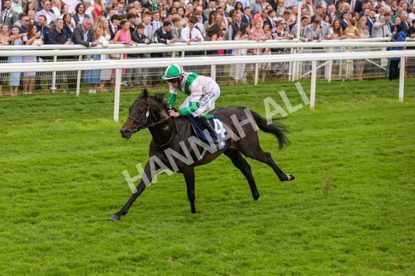 250524-Race 3-Starlust-3085 - Race 3 2.45pm William Hill Extra Place Races Daily Handicap