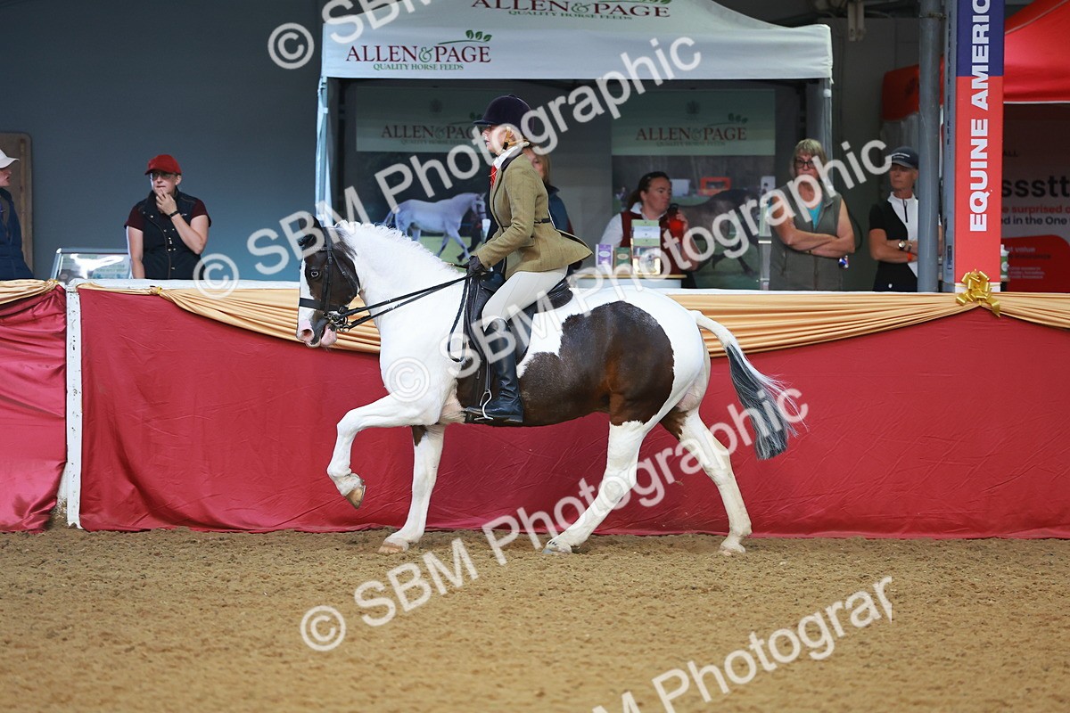 SBM_09461 - Class 102 - HOYS Veteran Qualifier - Ridden Veteran
