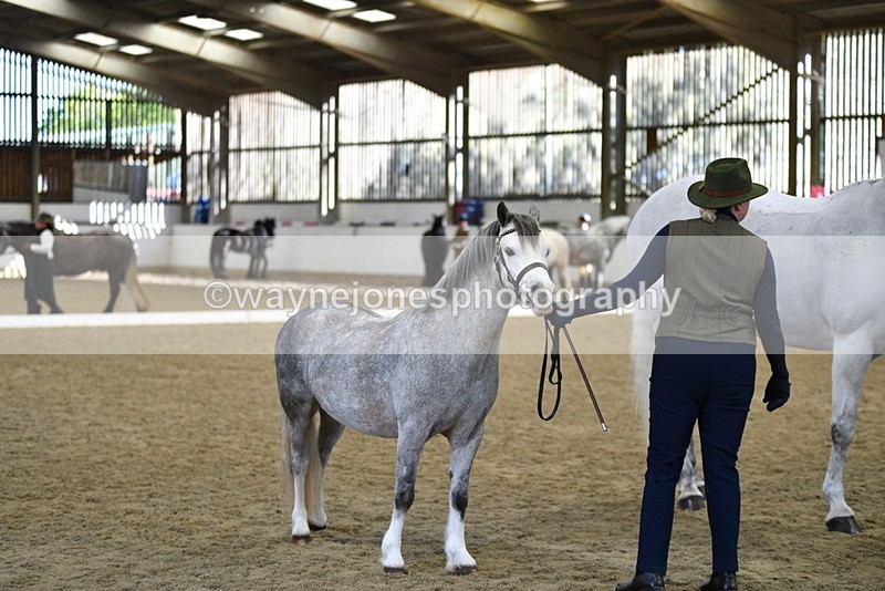 WJ5_4080 - Class 2 Best Condition In hand