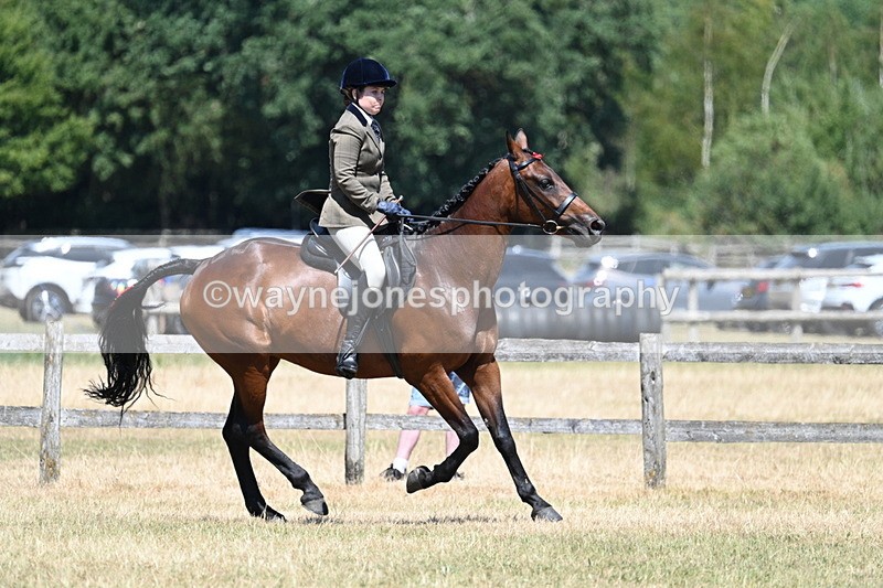 WJ7_3138 - Class 7 Riding Club Show Horse