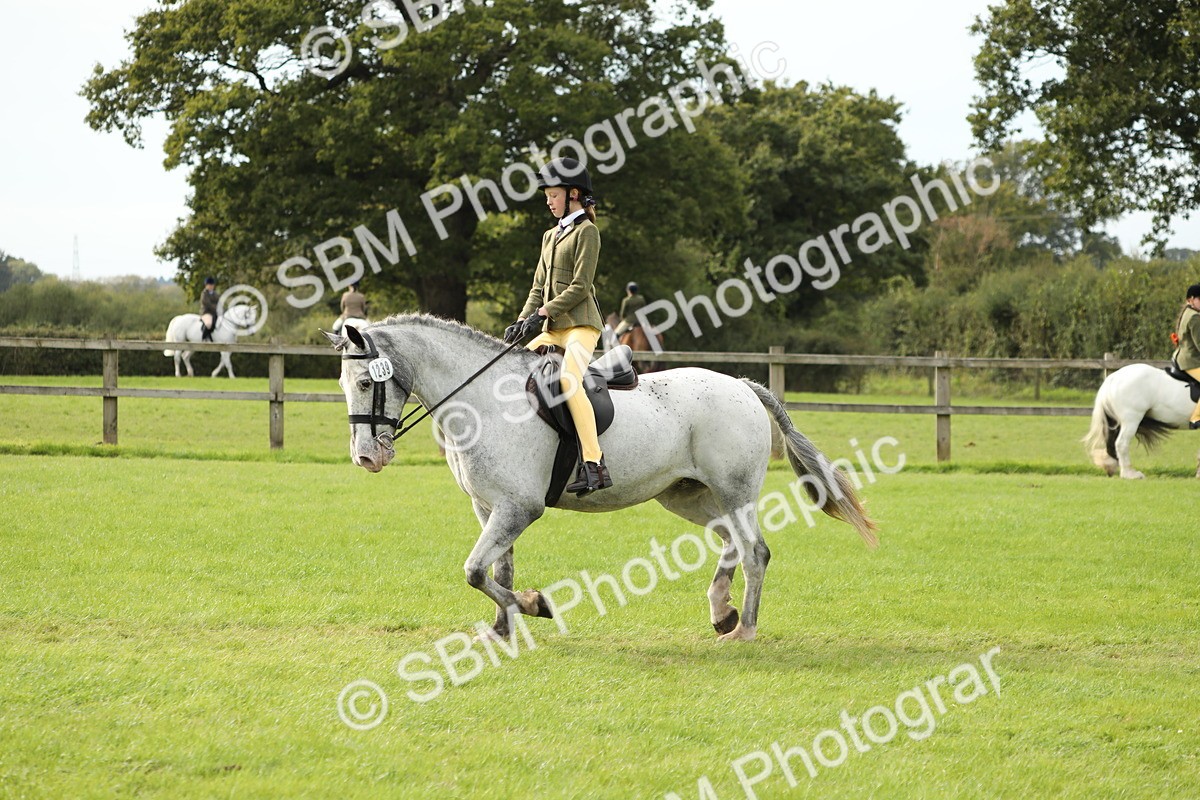 SBM_71508 - S41 - Ridden Equitation (Best Rider)