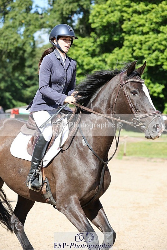 240615-093536-00259 - Cls 1 Snr British Novice and 90cm Open