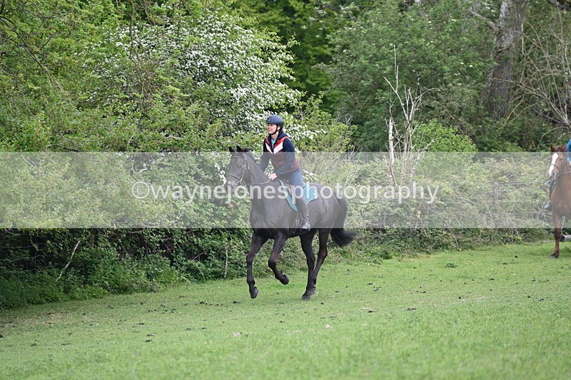 WJ6_2935 - A Camera