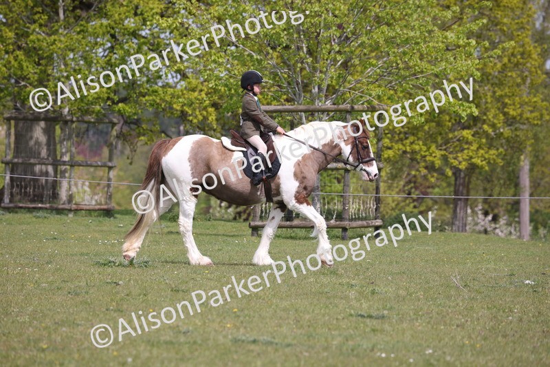 20260426-4294 - Class 34 - Best Riding Horse Over 14.2hh