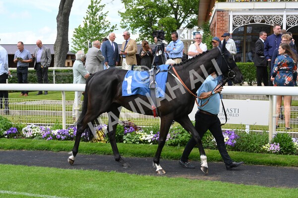 yr11062021r2-41 - Race 2 2.20pm Churchill Tyres Stakes