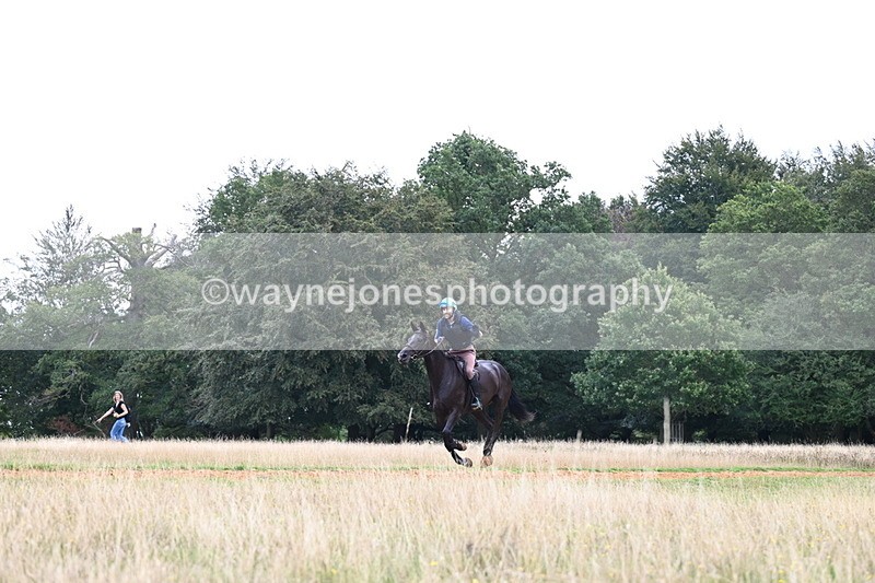 DSC_6491 - Time at Statue 12:17 to 12:44