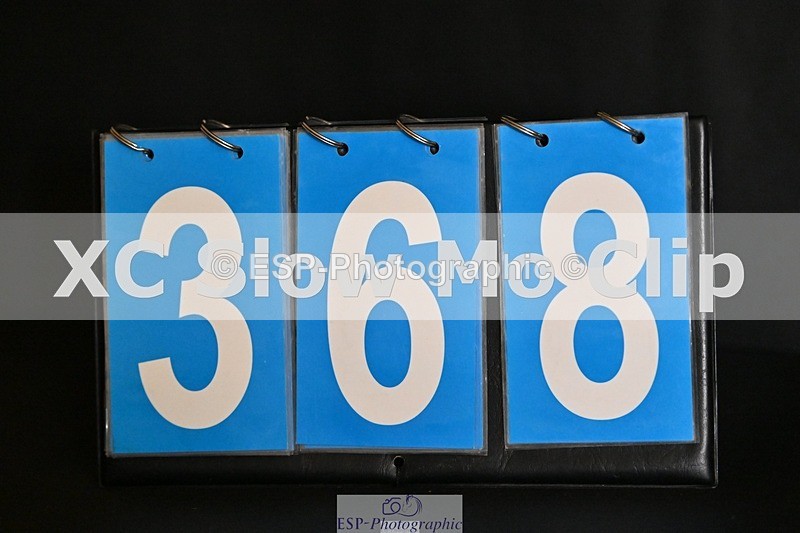 ESP_368 - D-368-Steffi.Dampney