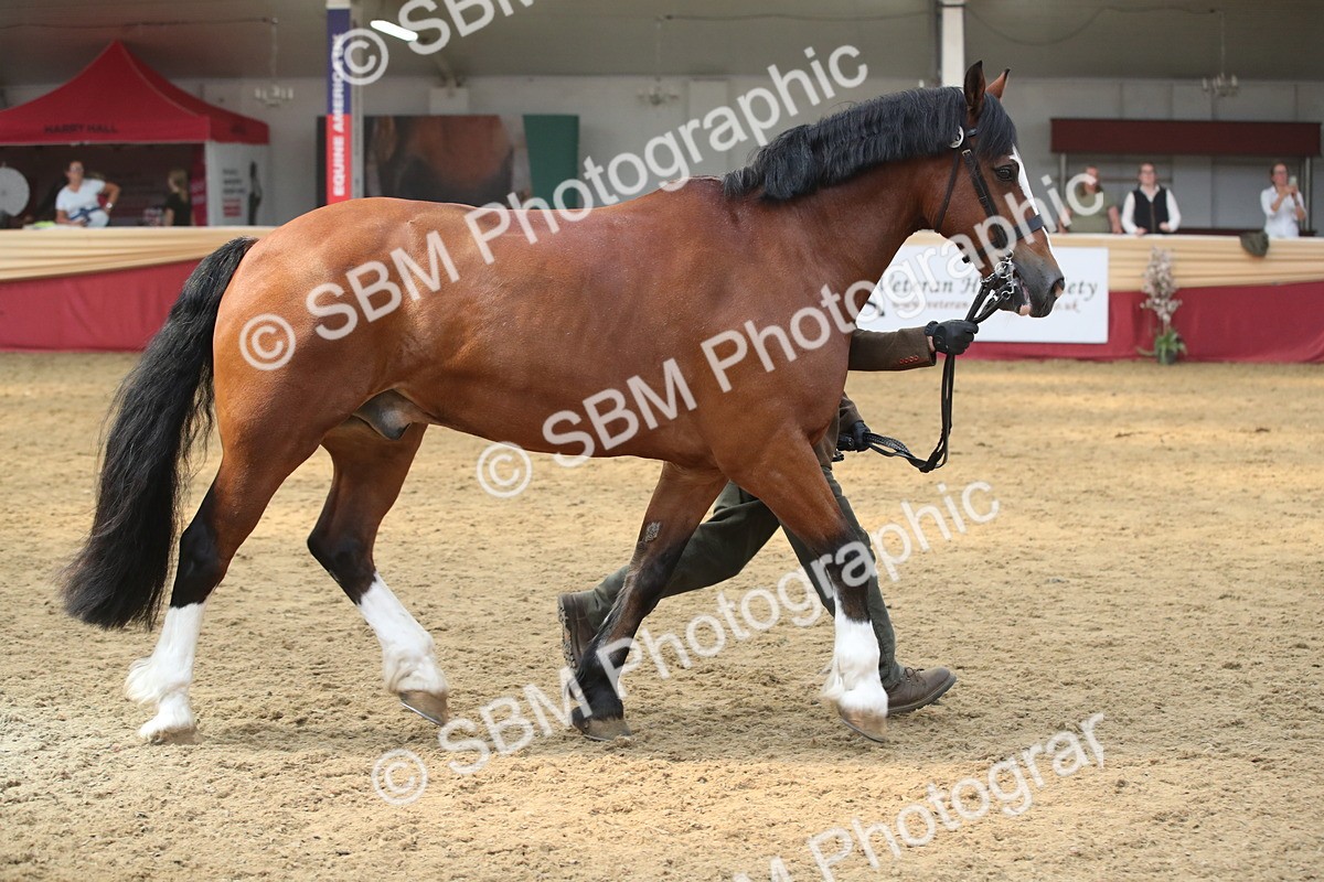 SBM_05612 - Class 9R - Regional IH Pre-Vet