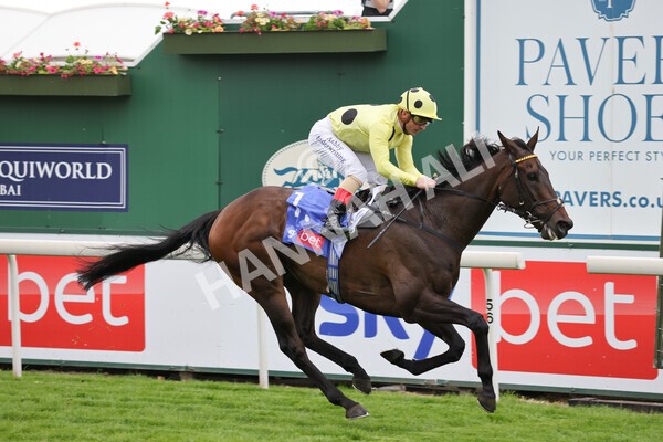 yr11062022r4-24 - Race 4 3.05pm Sky Bet Grand Cup