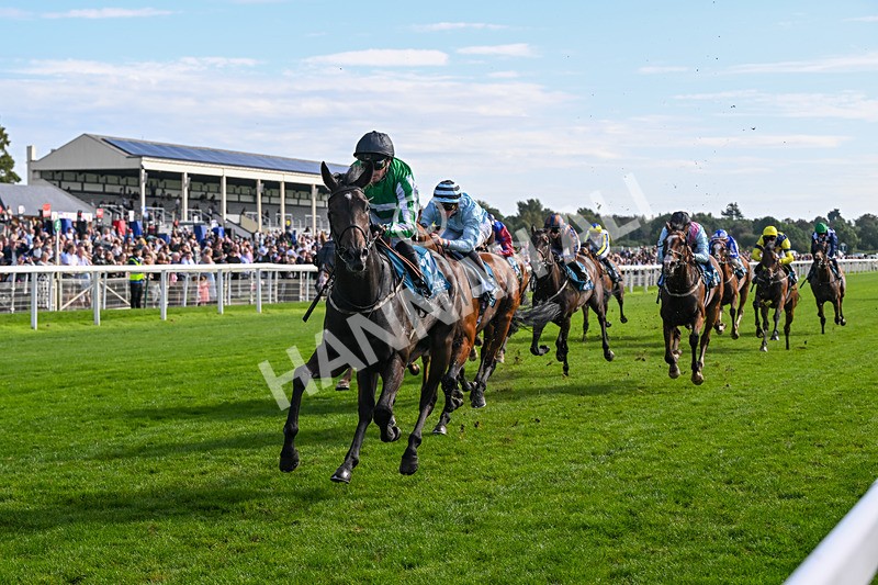 060926-Race 4-Stoneacre Donny-8040 - Race 4 3.15pm Saltmoore Collection Handicap