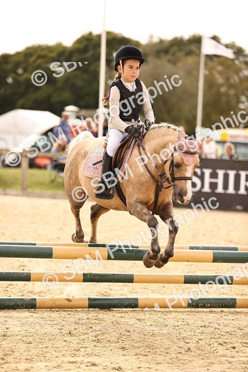SBM_70819 - J13 - Junior Pony 60cm Championship