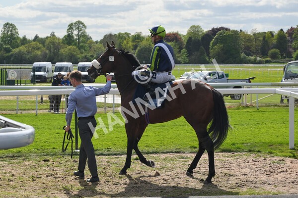 yr12052022r5-6 - Race 5 4.10pm British Stallion Studs EBF Westow Stakes