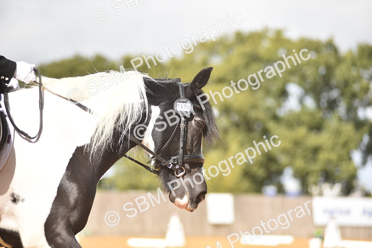 SBM_03144 - D4 - Small Tour Championship Intro 4