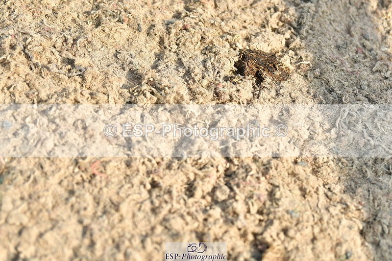 230721A-091551-04664 - Cls 26, 5 Yr Olds 1.10m