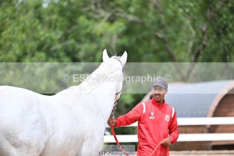 250716-132517-00500 - Trot Up 12.30 to 1.30