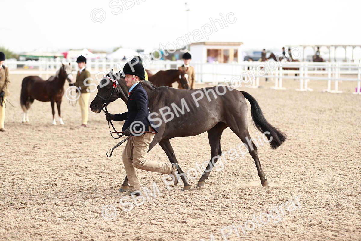 SBM_10609 - Class 204 Young Handler, 11-16 years