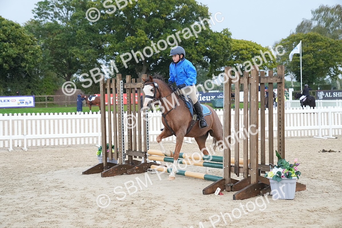 SBM_00197 - J53 - Clear Round 40cm