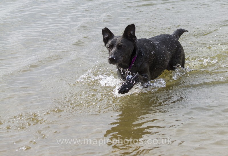  - Molly - my very own best friend...