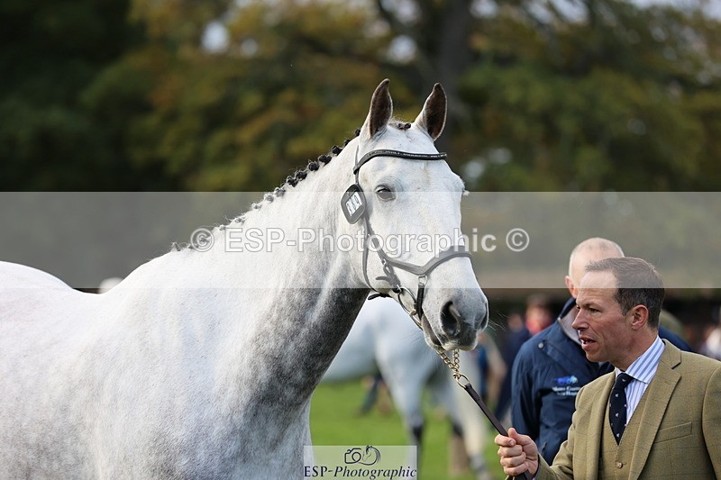 251026A-102123-22917 - E-389-Will.van.Ufford